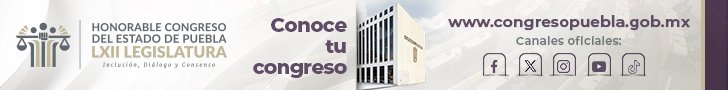 Banner 790