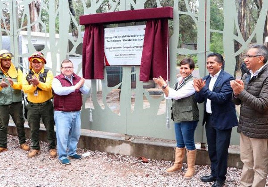 Producirá vivero “Flor del Bosque” 200 mil plantas anualmente: Medio Ambiente