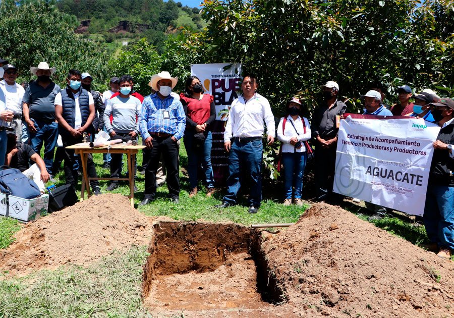 Organiza Desarrollo Rural gira de transferencia con productores de aguacate