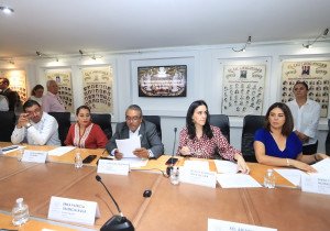 Comisiones del Congreso aprueban exhorto para crear programas sociales en favor de madres y padres solteros