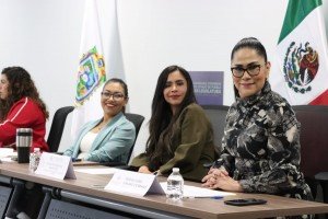 Avala Comisi&oacute;n del Congreso impulso a estrategias digitales para prevenir violencia contra las mujeres