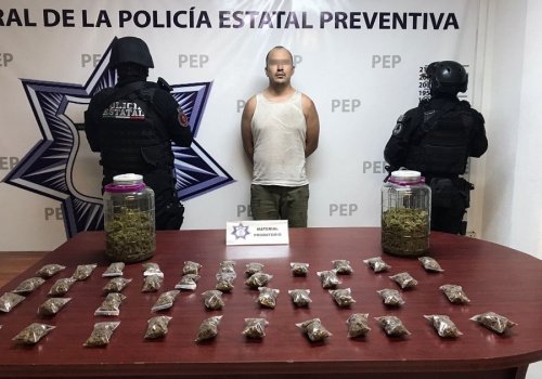 Presunto delincuente 