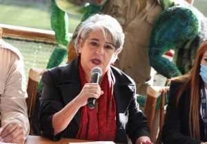Reciclarán Ayuntamiento de Puebla y Africam hasta 5 mil árboles navideños