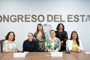 Aprueba Comisión del Congreso acuerdos para prevenir cutting y sexting