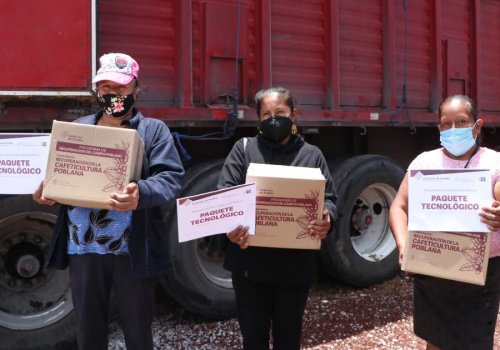 Entrega SDR apoyos para cafeticultores de 10 municipios