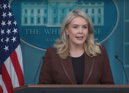 Detiene ICE a excu&ntilde;ada del la vocera de Donald Trump por permanencia irregular en EUA