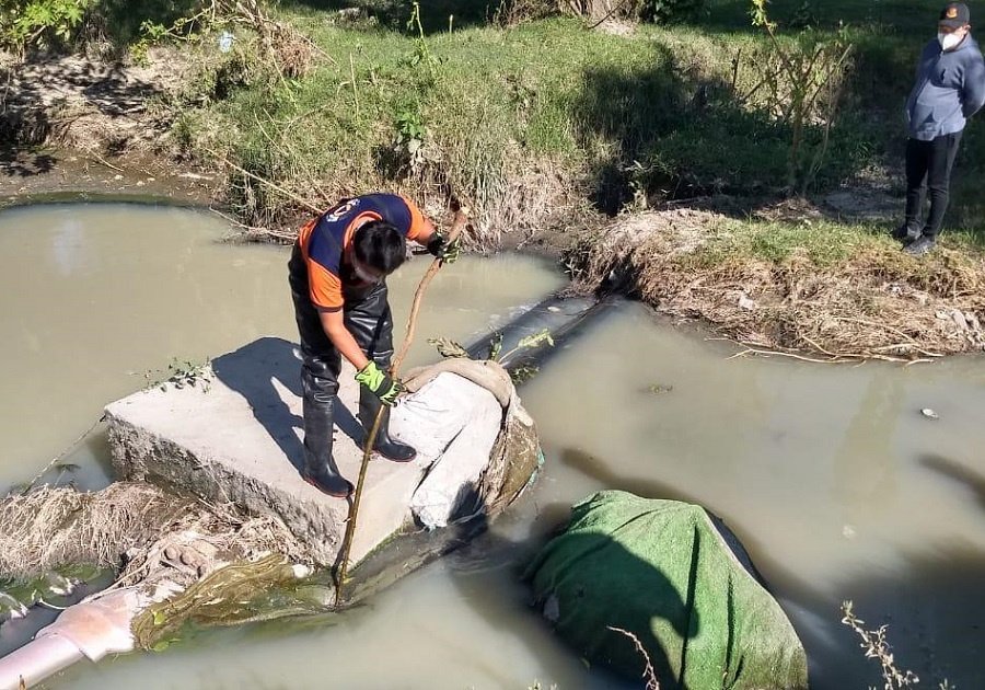 Personal del ayuntamiento busca un cocodrilo en el Atoyac
