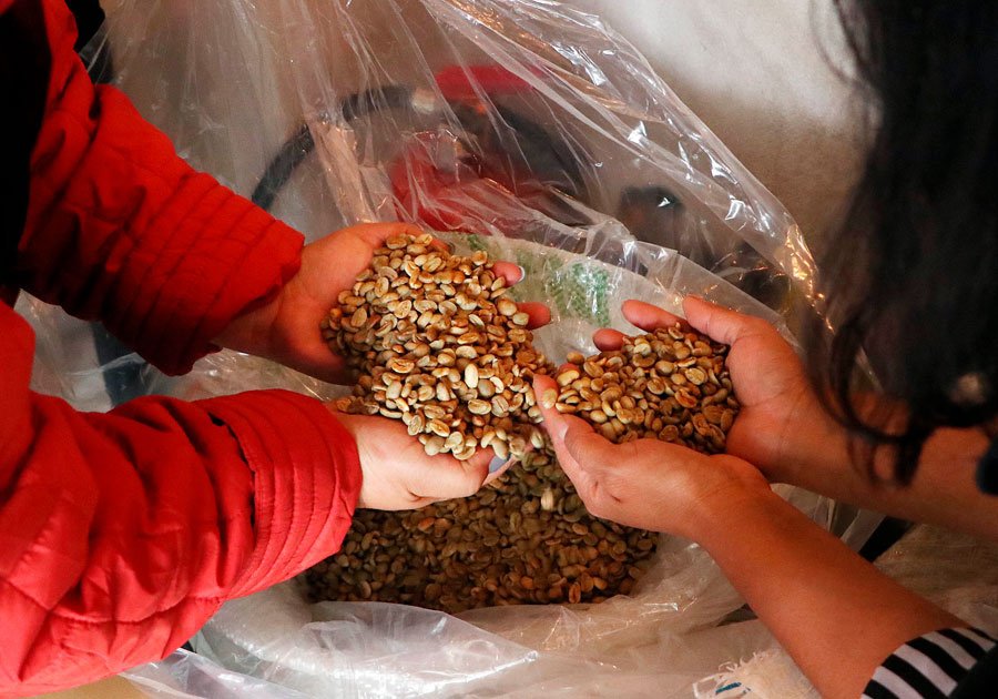Con subasta internacional, SDR posiciona y fortalece al café poblano