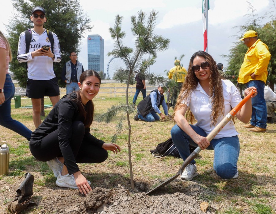 Gobierno estatal y ambientalistas fortalecen bosque urbano del CIS