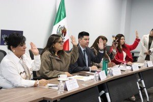 Comisión del Congreso exhorta a Ayuntamientos a adoptar energías renovables a favor del medio ambiente