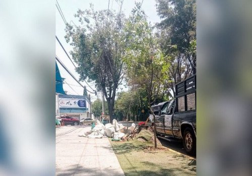 Realizan podas fitosanitarias en Puebla capital