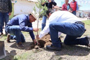 Xiutetelco impulsa futuro verde: Inicia campaña de reforestación con mil árboles donados