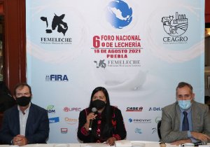 Ana Laura Altamirano Pérez 