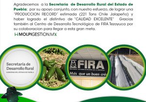 Logra Agroweb.mx con apoyo de la SDR producción récord