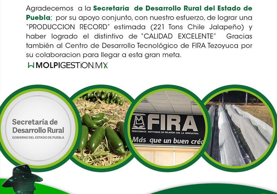Logra Agroweb.mx con apoyo de la SDR producción récord