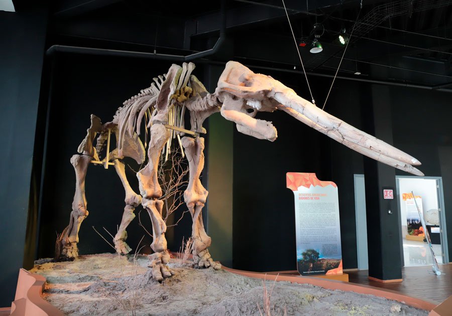 Sin corrupci&oacute;n, gobierno estatal rescata museos y cuida acervo, recalca Barbosa Huerta