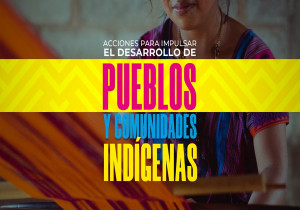 Promueve Congreso del Estado participación, equidad y desarrollo de pueblos indíge