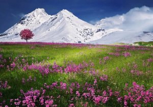Mountains 
