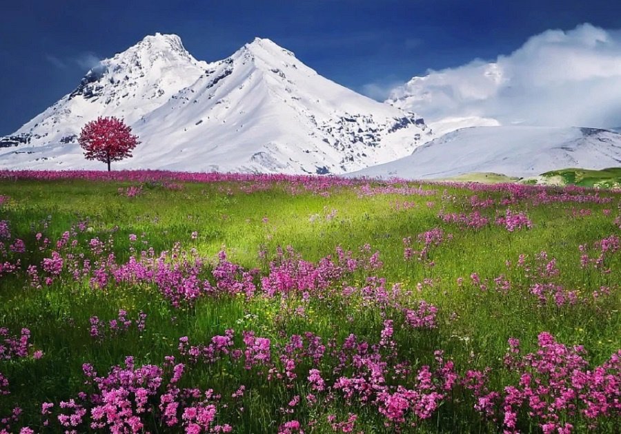 Mountains 