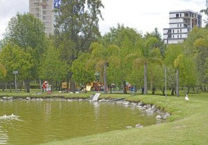 Arrancar&aacute;n trabajos de mantenimiento en grandes parques: Sergio Salom&oacute;n