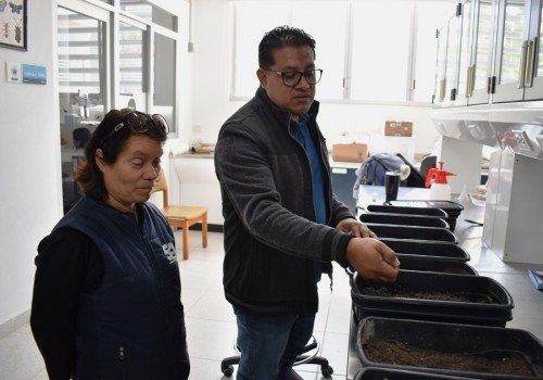 Investigadora del ICUAP estudia la plaga conocida como &ldquo;gallina ciega&rdquo;
