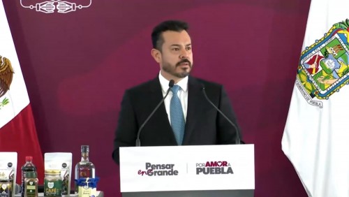 Se reduce a 97 los &aacute;rboles a intervenir para el proyecto del Cableb&uacute;s