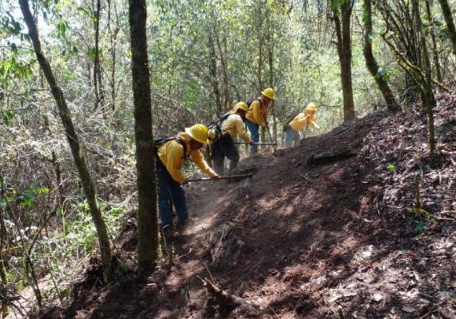 Reporta Medio Ambiente 14 incendios en un solo d&iacute;a