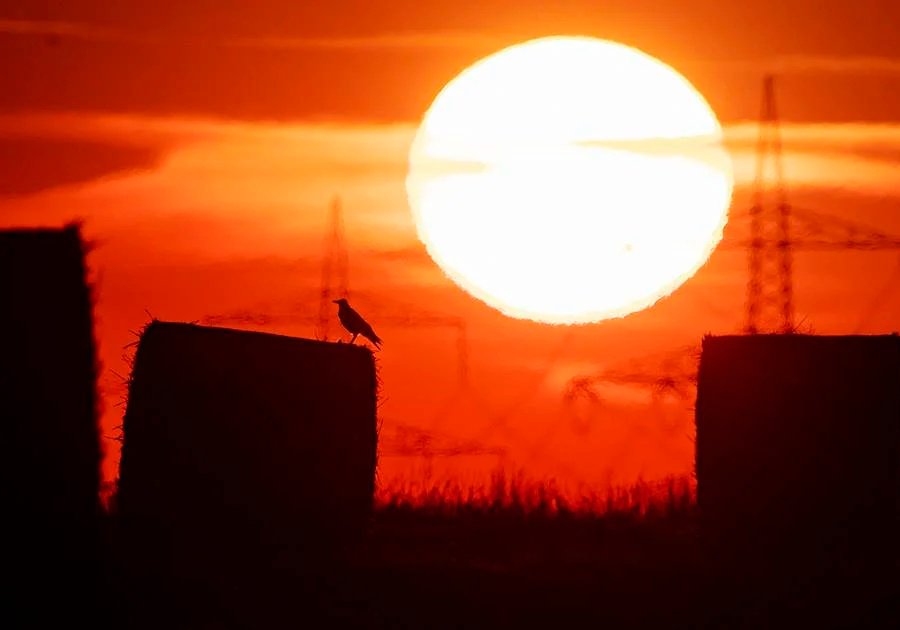 Julio, mes más caluroso para la tierra