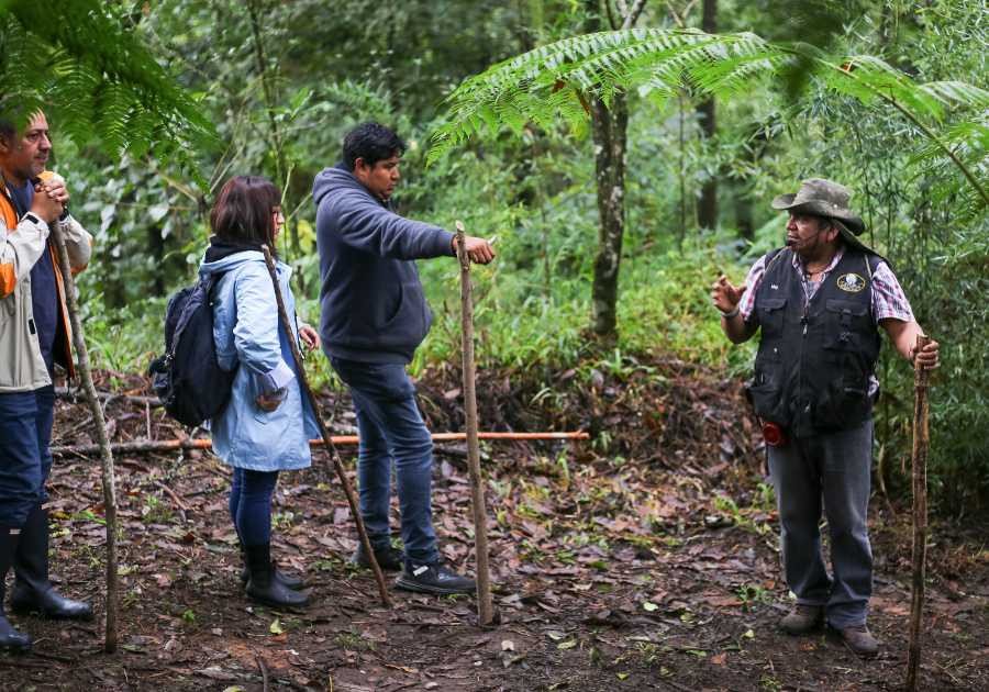 Promueve Turismo Ruta del Café de la Sierra Norte