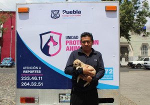 Exhorta Medio Ambiente a evitar compra de mascotas por Día de Reyes