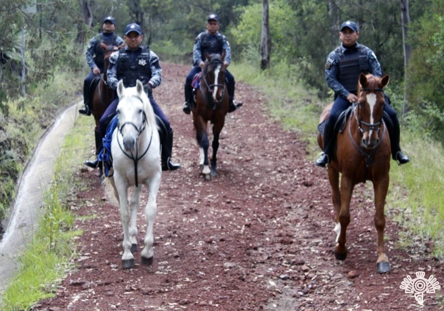 Policía Estatal Montada desempeña labor de proximidad