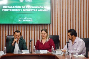 Texmelucan, primer Municipio del Estado en instalar la Comisión de Bienestar y Protección Animal