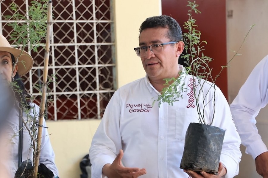 Diputado P&aacute;vel Gaspar promueve jornadas de reforestaci&oacute;n en San Juan Epatl&aacute;n y Chiautla de Tapia