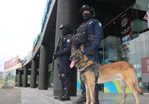 Redoblar&aacute; polic&iacute;a de San Andr&eacute;s Cholula labores de vigilancia en Sonata&nbsp;
