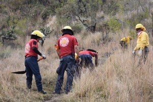 Gobierno de San Pedro Cholula refuerza la capacitación en prevención y combate de incendios forestales