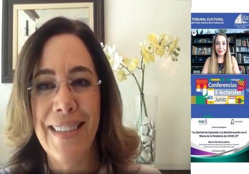 Blanca Lilia Ibarra Cadena