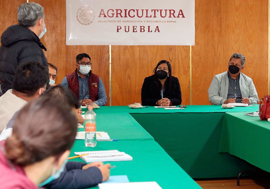 Campo poblano tendr&aacute; profesionales para asesor&iacute;a t&eacute;cnica a productores