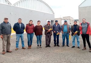 Impulsa SDR a productores de higo para comercialización