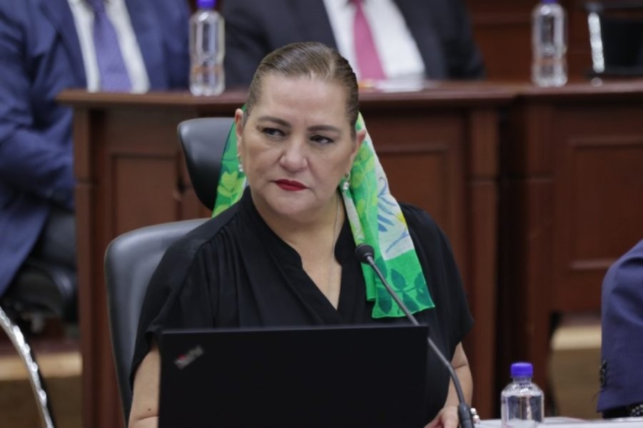 Van por Taddei por corrupción y conflicto de intereses