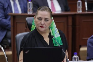 Van por Taddei por corrupci&oacute;n y conflicto de intereses