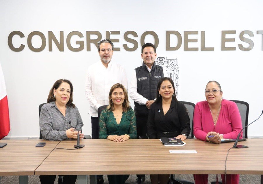 Analiza Comisión del Congreso acciones en materia de Organizaciones de la Sociedad Civil