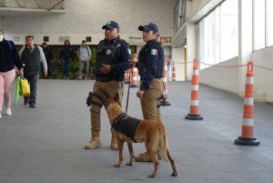 SSC asegura a seis personas por diversos delitos en la capital