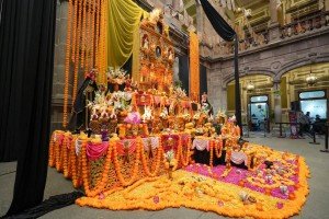 Invita IMACP a continuar disfrutando del Corredor de Ofrendas 2025