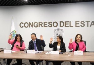 Presentan en Comisión del Congreso propuesta de Encuesta Digital para Organizaciones No Gubernamentales