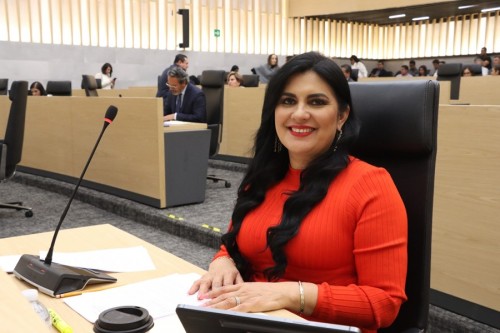 Propone Delfina Pozos que aspirantes a candidaturas cuenten con evaluación de control de confianza aprobada