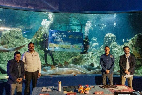Llega la Noche de Museos de junio con descuentos y promociones
