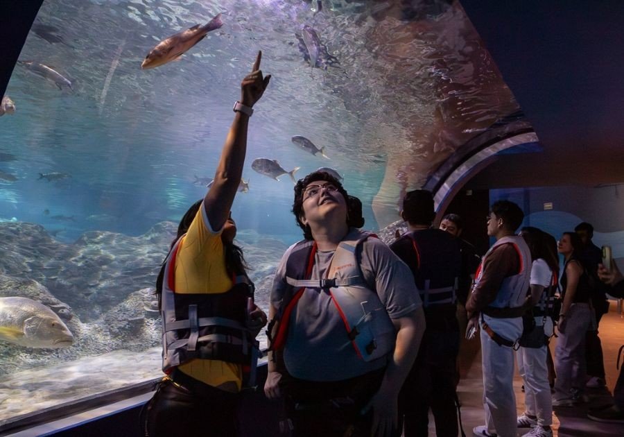 Última Noche de Museos de 2024, el 28 de diciembre