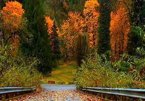 Otoño