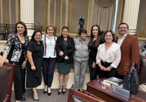 Grupo Plural, a la presidencia del Congreso