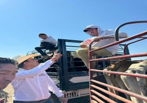 Respaldo a la ganadería en la mixteca poblana desde San Lázaro: Lalo Castillo